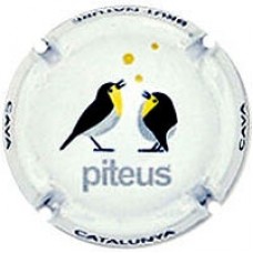 Piteus X-97071