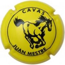 Juan Mestre X-39793 V-12845