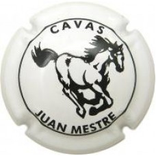 Juan Mestre X-39795 V-12841
