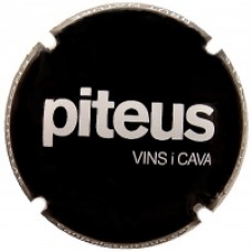 Piteus X-151781