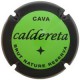 Caldereta X-95915 V-29208