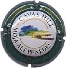 Cavas Hill X-01075 V-1025 (Faldó verd fosc metal·litzat)