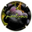 Artigau X-179088 (pinot noir)