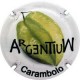 Argentium X-118621 V-30515