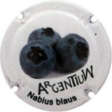 Argentium X-120735 V-29898