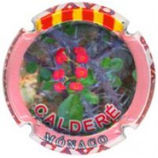 Calderé X-125941 (Reserva-10)
