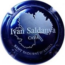 Ivan Saldanya X-01863 V-3133