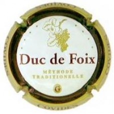 Duc de Foix X-00605 V-2176