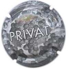 Privat X-00321 V-3729 CPC:PVT302