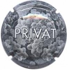 Privat X-00322 V-2434 CPC:PVT303