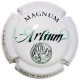 Artium X-04638 V-2891 (MAGNUM)