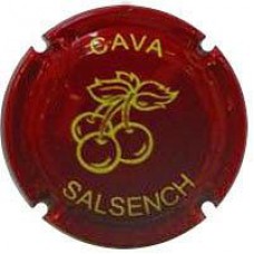 Salsench X-89228 V-24795