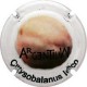 Argentium X-120165 V-29904
